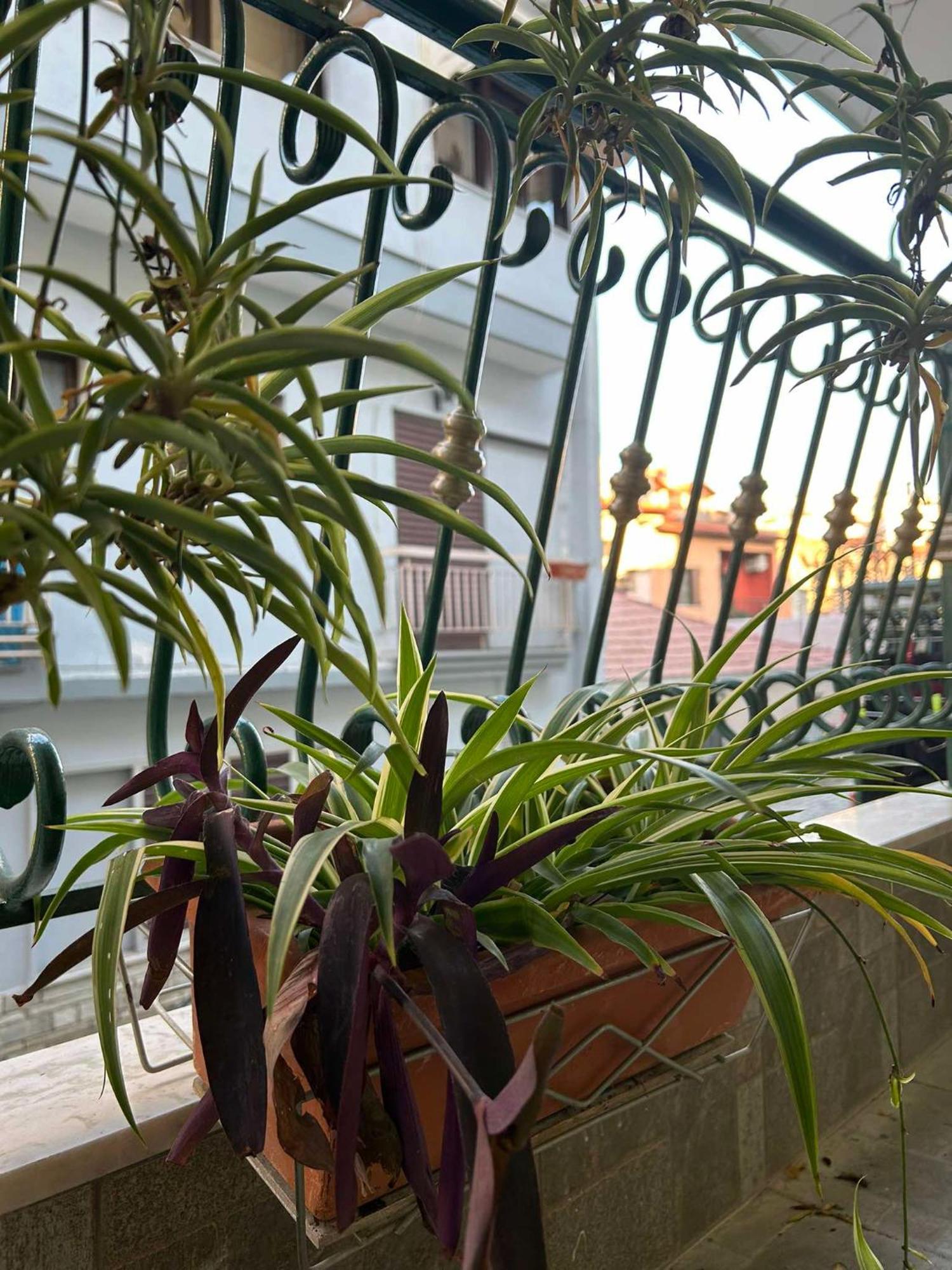 The Makrina Flat Appartement
